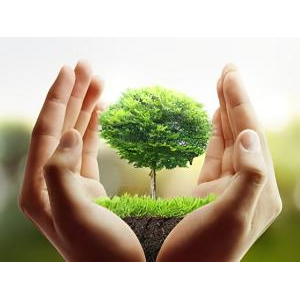 3. Thành Phần Tự Nhiên Của Dầu Thảo Mộc Aceso